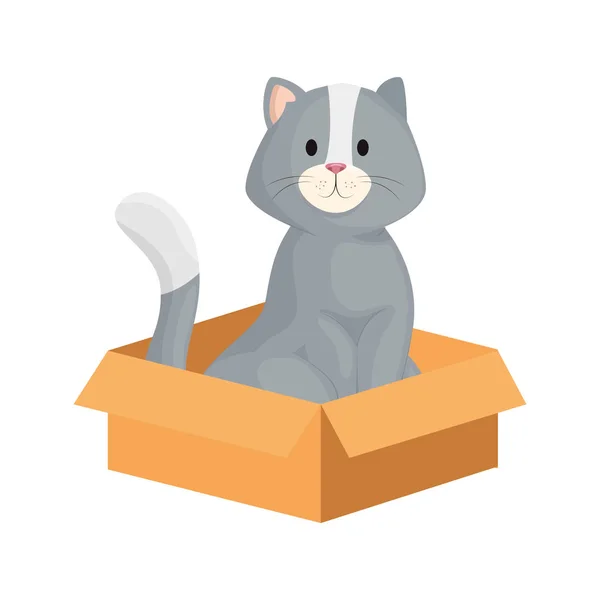 Carino piccolo gatto in scatola scatola icona isolata — Vettoriale Stock