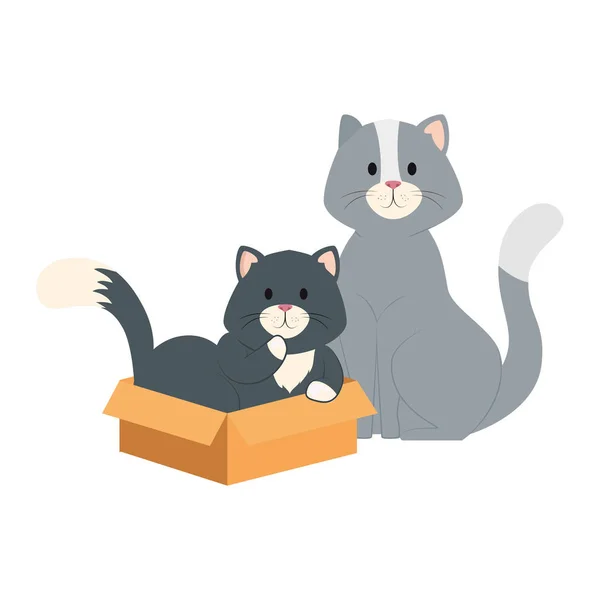 Lindo poco gatos con caja de cartón aislado icono — Vector de stock