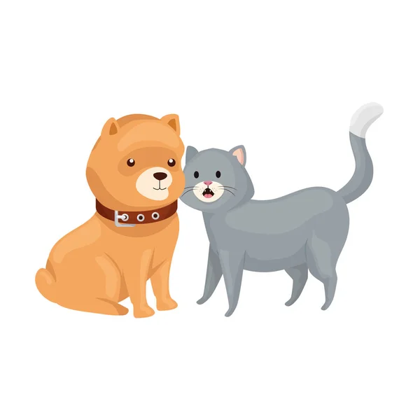 Милые кошки и собаки животных изолированная икона — стоковый вектор