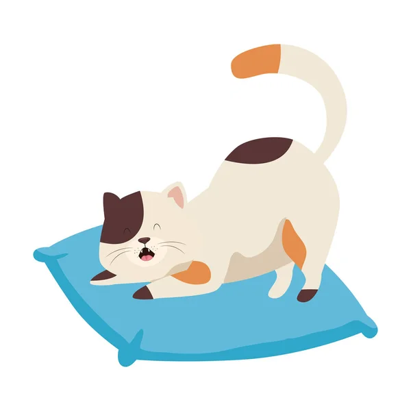 Lindo pequeño gato en cojín aislado icono — Vector de stock