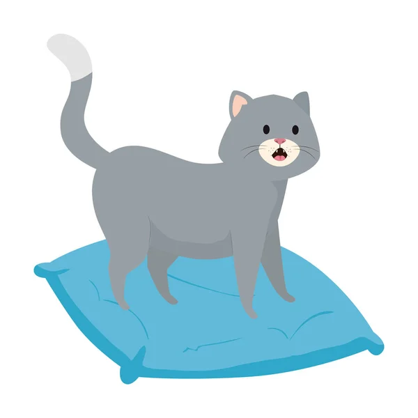 Mignon petit chat dans coussin icône isolée — Image vectorielle