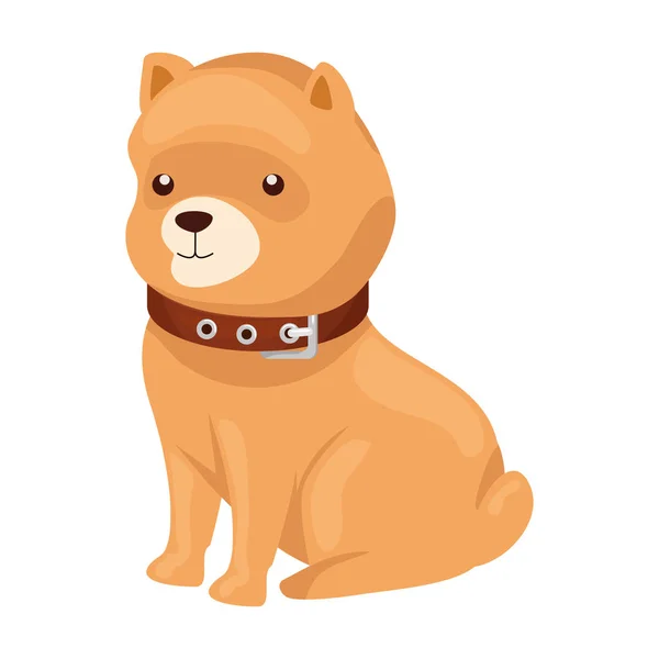 Rozkošný psí zvíře izolovaný ikonka — Stockový vektor