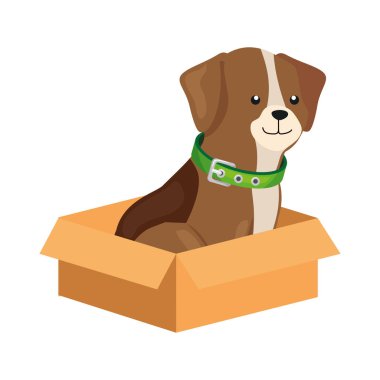 Kutu kutusundaki şirin köpek izole edilmiş simge