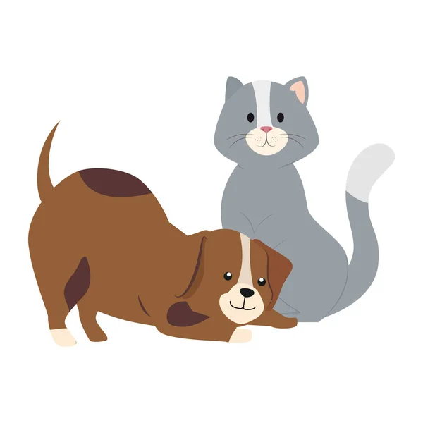 Lindo gato y perro animales aislados icono — Vector de stock