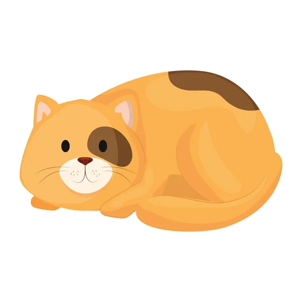 Cute little cat animal icon — 图库矢量图片