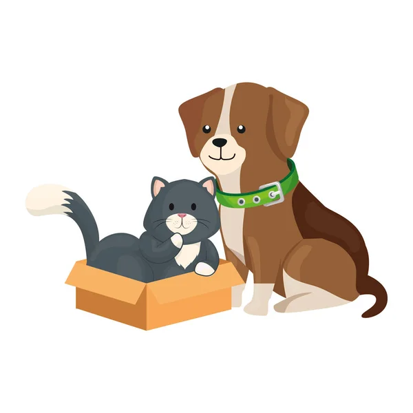 Ładny pies z kotem w pudełku tekturowym — Wektor stockowy