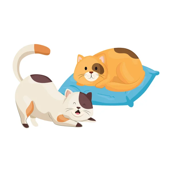 Roztomilé malé kočky s polštářem izolované ikony — Stockový vektor