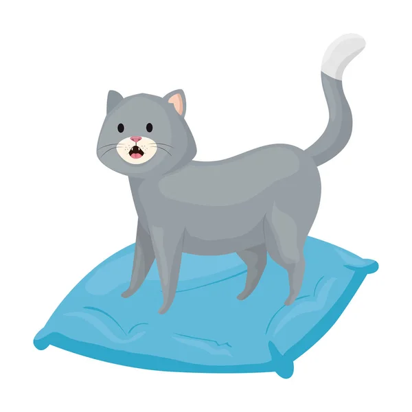 Yastıktaki küçük sevimli kedi izole edilmiş ikon — Stok Vektör