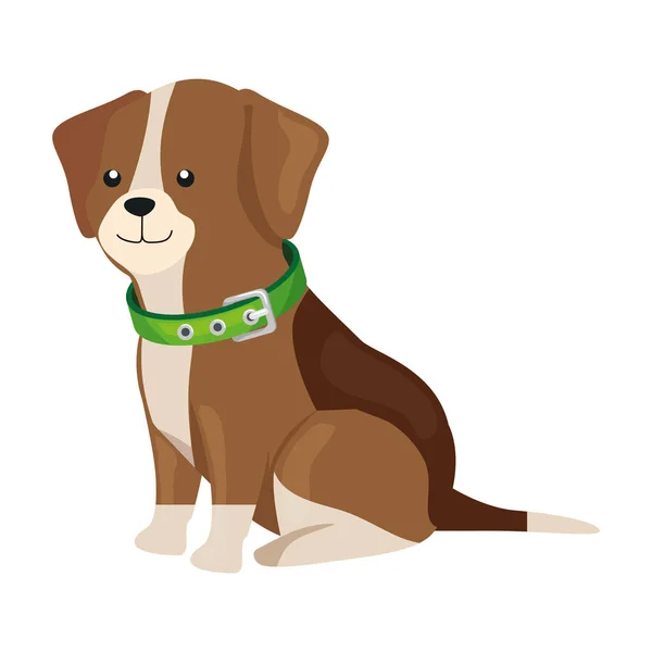 Mignon chien animal isolé icône — Image vectorielle