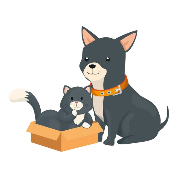 Cute dog with cat in box carton — Stock Vector