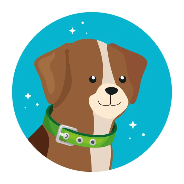 Cara de perro lindo en marco circular — Vector de stock