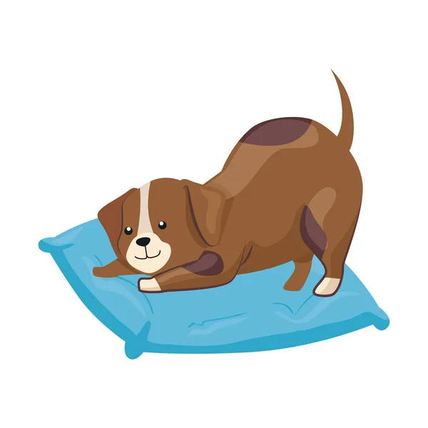 Cute dog in cushion isolated icon — Stock Vector