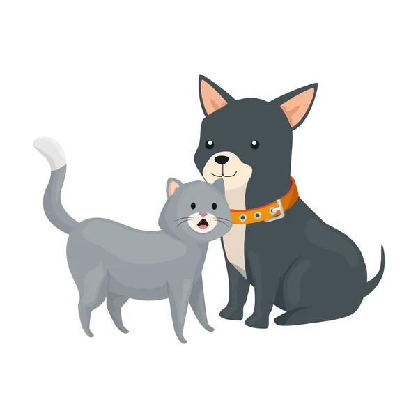 Cute cat and dog animals isolated icon — Stock Vector