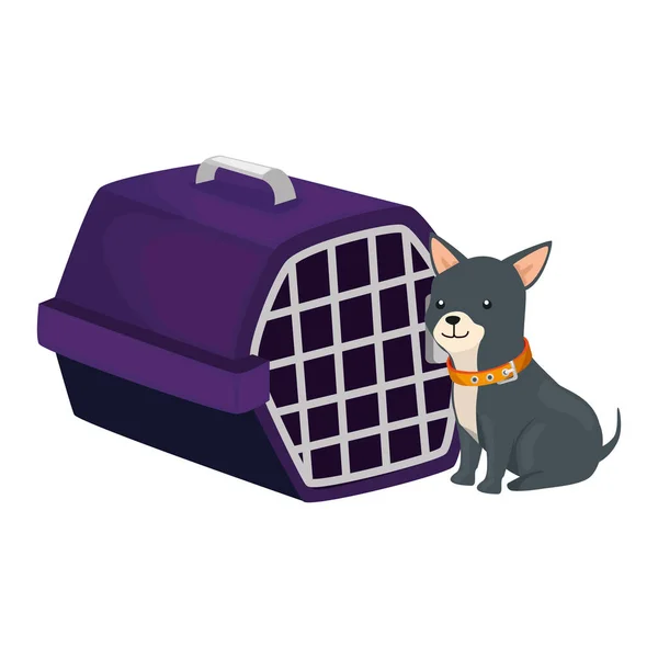 Lindo perro con caja de transporte aislado icono — Vector de stock