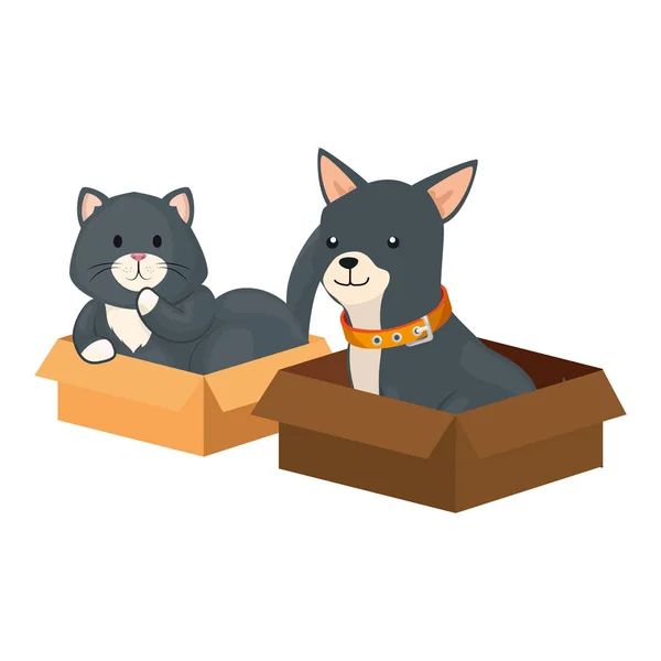 Mignon chat et chien dans des boîtes carton — Image vectorielle