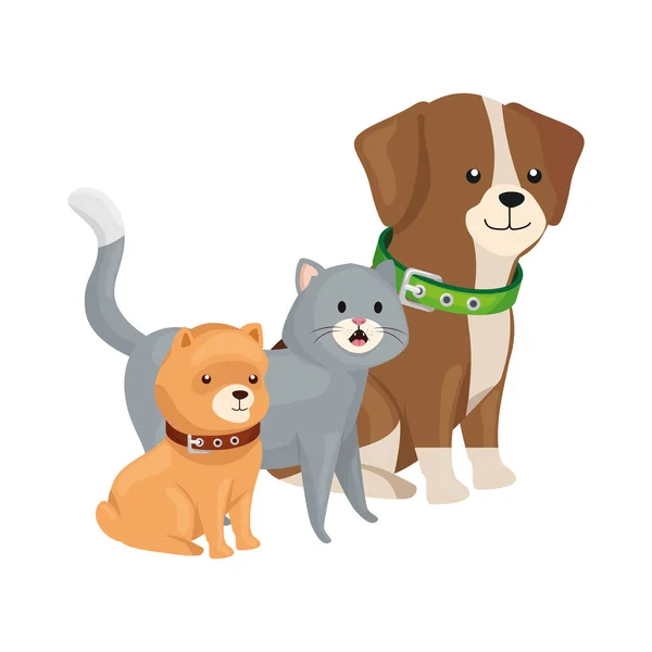 Schattig kat en honden dieren geïsoleerd pictogram — Stockvector