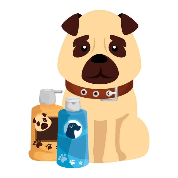 Χαριτωμένο σκυλί με προϊόντα φροντίδας απομονωμένα εικονίδια — Διανυσματικό Αρχείο