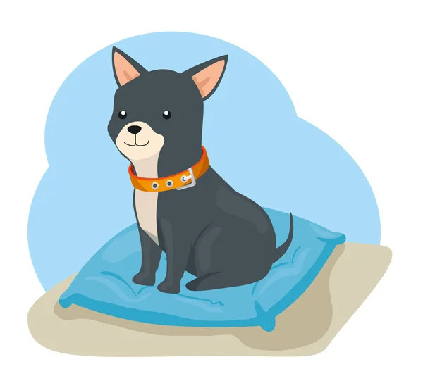 Animal mignon pour chien avec collier dans le coussin — Image vectorielle