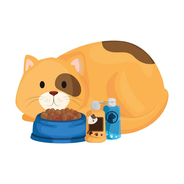 Lindo gato con plato de comida e iconos para el cuidado — Vector de stock