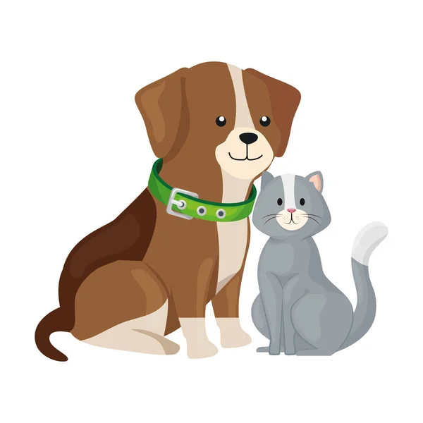 Schattig kat en hond dieren geïsoleerd pictogram — Stockvector