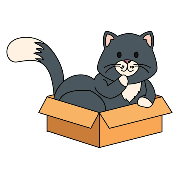 Lindo pequeño gato en caja de cartón aislado icono — Vector de stock