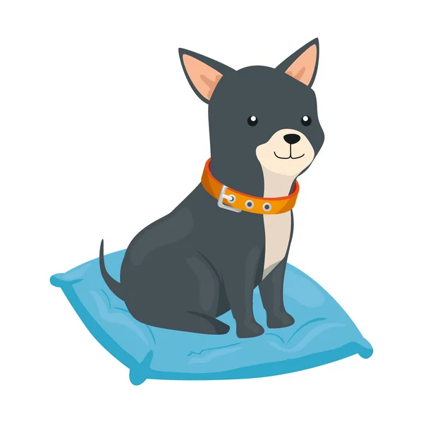 Aranyos kutya párna elszigetelt ikon — Stock Vector