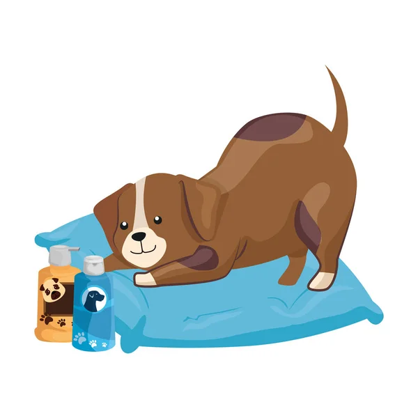 Lindo perro con objetos para el cuidado — Vector de stock