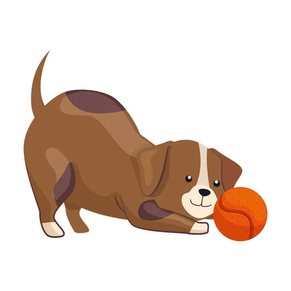 Lindo perro con bola juguete aislado icono — Vector de stock