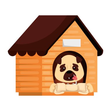 cute dog in wooden house and bone