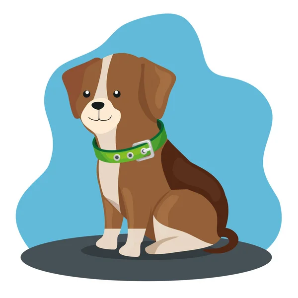 Animal perro lindo con icono de collar — Vector de stock