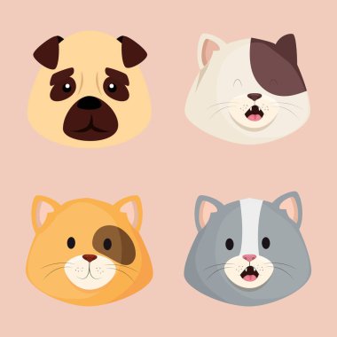 faces of cute little cats with dog