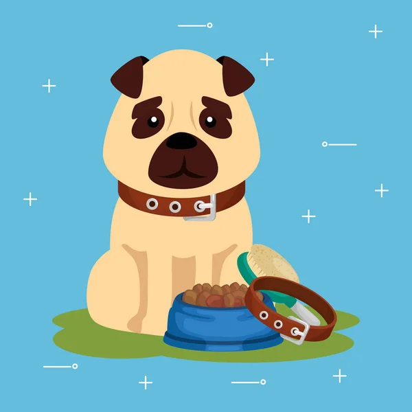 Schattige hond met schotel voedsel en kraag — Stockvector