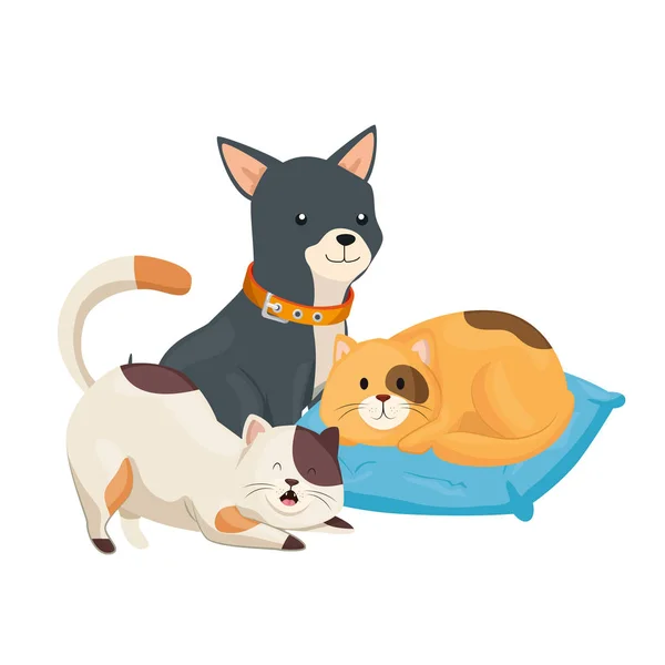 Chats mignons et chien avec coussin icône isolée — Image vectorielle