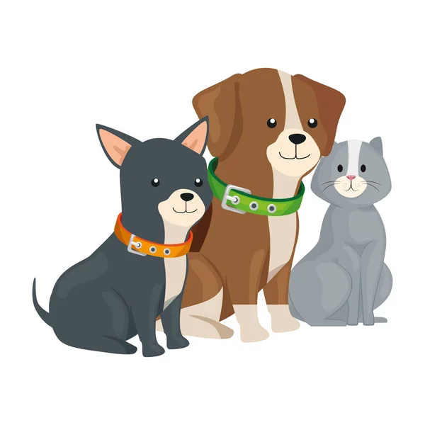 Cute cat and dogs animals isolated icon — Stok Vektör