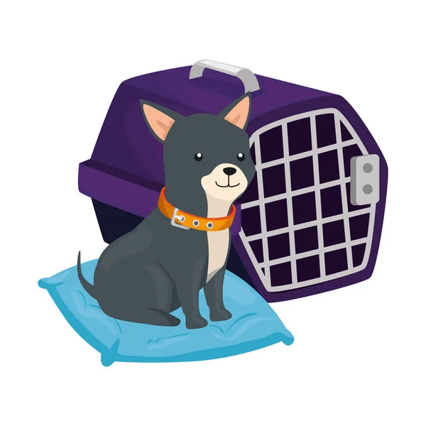 Lindo perro en cojín y caja de transporte — Vector de stock