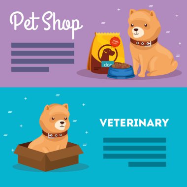 set poster of pet shop veterinary with icons