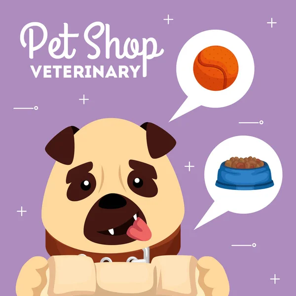 Pet shop veterinário com cão bonito e ícones — Vetor de Stock