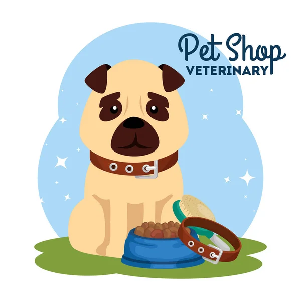 Dierenwinkel dierenarts met schattige hond en pictogrammen — Stockvector