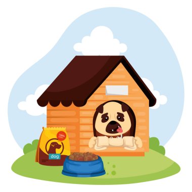 cute dog in wooden house and food