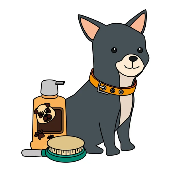 Ładny pies z butelką do pielęgnacji i szczotki — Wektor stockowy