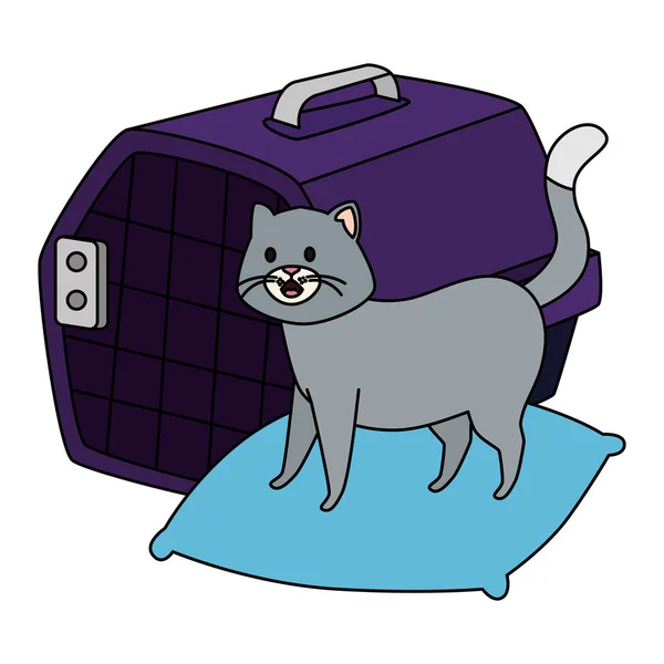 Милий маленький кіт в подушці з коробкою для перенесення — стоковий вектор