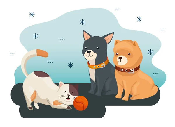 Group of cute dogs and cat with ball toy — Stok Vektör