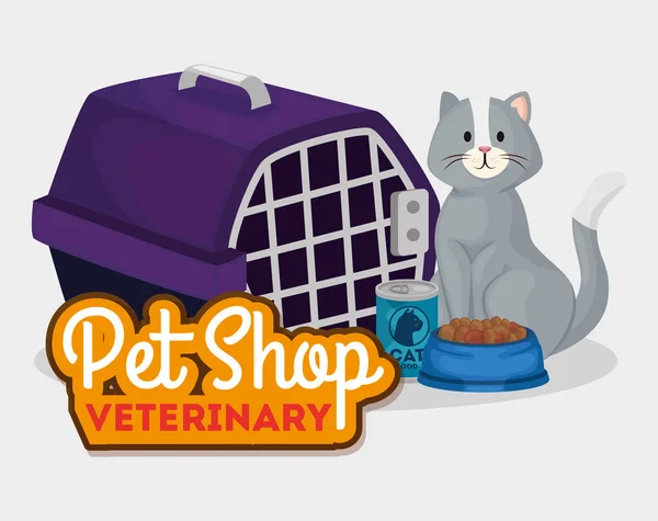 Pet shop veterinary with cat and box carry — Stok Vektör