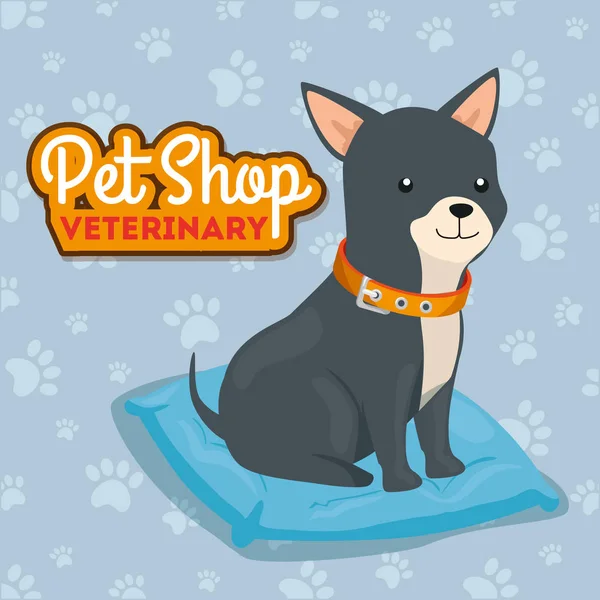 Pet shop veterinary with cute dog — ストックベクタ