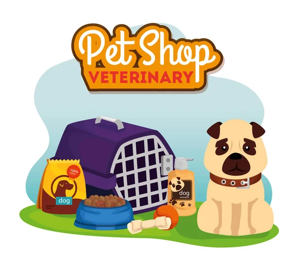 Pet shop veterinary with cute dog and icons — ストックベクタ