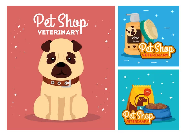 Conjunto cartaz de pet shop veterinário com ícones — Vetor de Stock