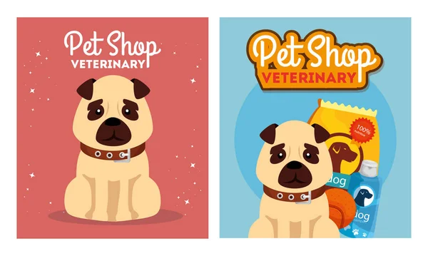 Set poster of pet shop veterinary with icons — ストックベクタ