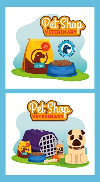 Set plakát pet shop veterinářství s ikonami — Stockový vektor