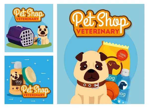 Set poster of pet shop veterinary with icons — Stock vektor