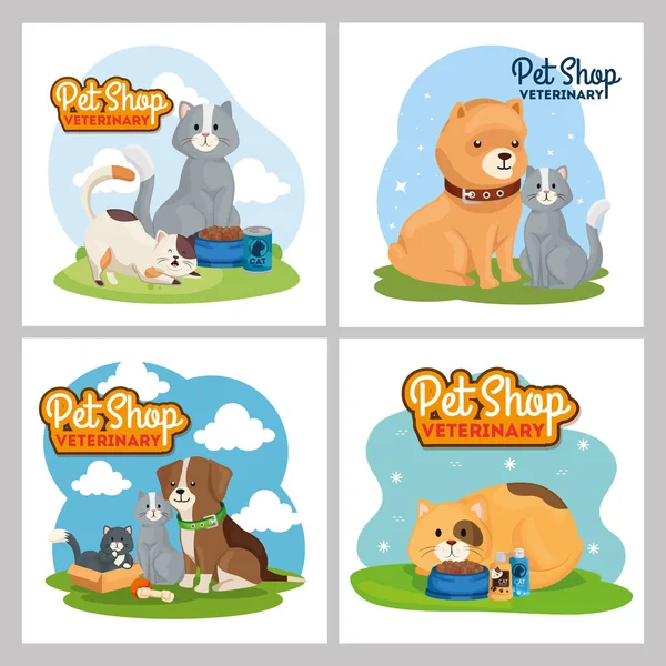 Set póster de animal doméstico tienda veterinaria con iconos — Vector de stock